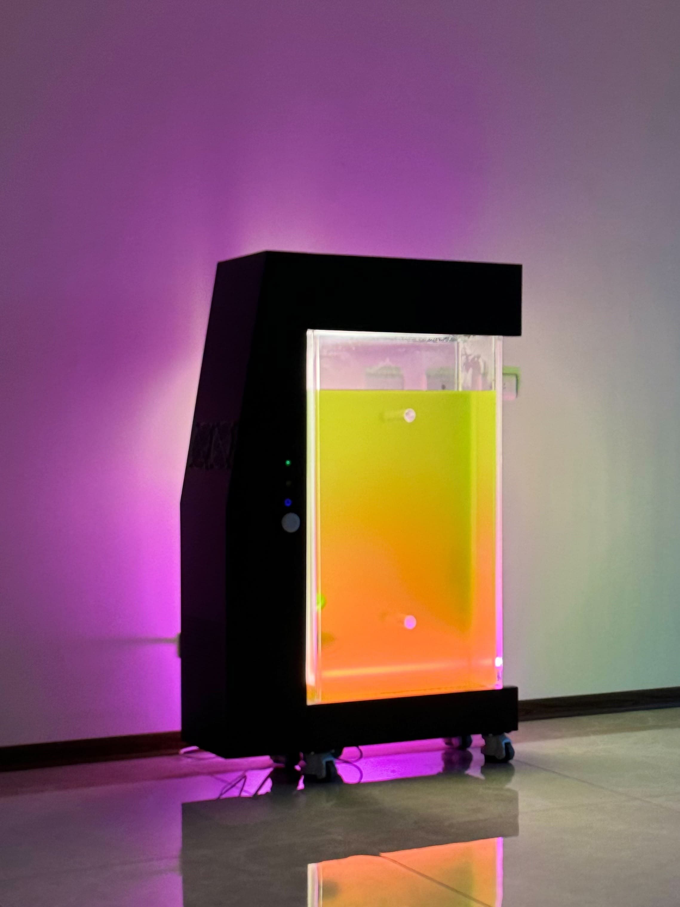 Green Ox algae purifier prototype